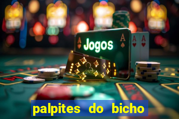 palpites do bicho no celular