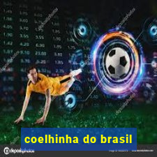 coelhinha do brasil