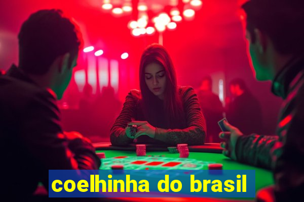 coelhinha do brasil