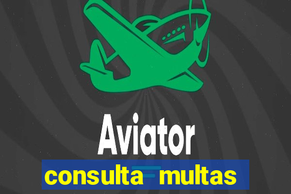 consulta multas detran mg