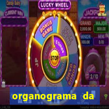 organograma da cacau show