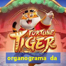 organograma da cacau show