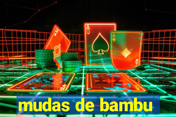 mudas de bambu