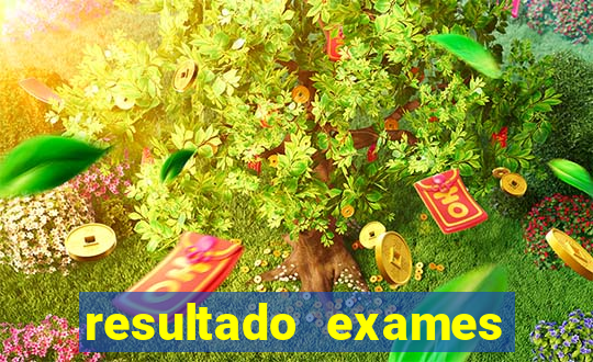 resultado exames unimed poa