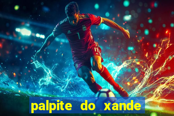 palpite do xande de hoje