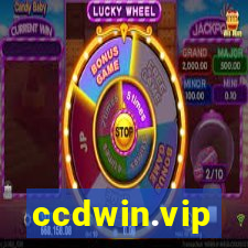 ccdwin.vip