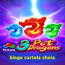 bingo cartela cheia