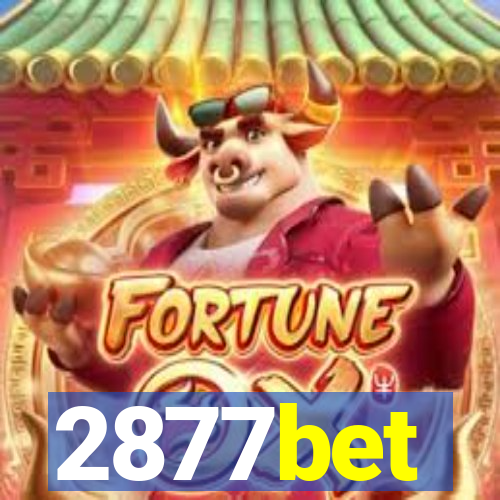 2877bet