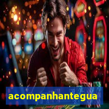 acompanhanteguanambi