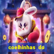 coelhinhas do brasil acompanhantes