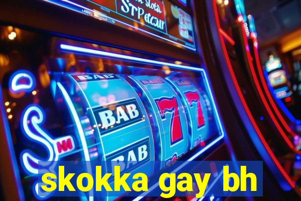 skokka gay bh