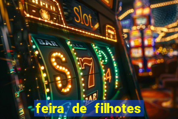 feira de filhotes porto alegre