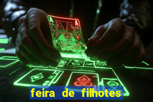 feira de filhotes porto alegre