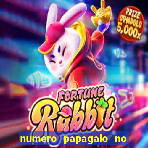 numero papagaio no jogo do bicho