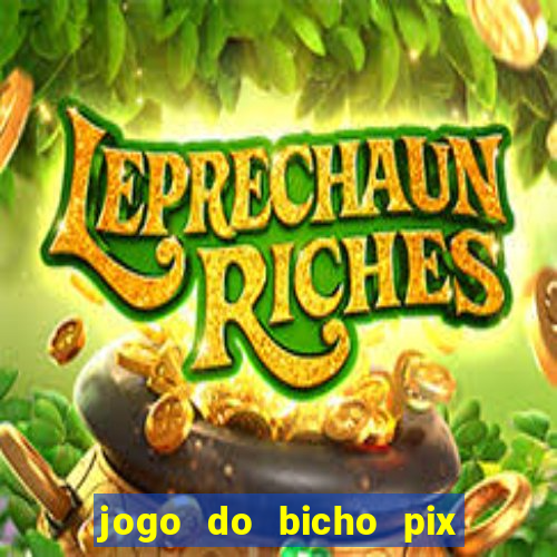 jogo do bicho pix da sorte