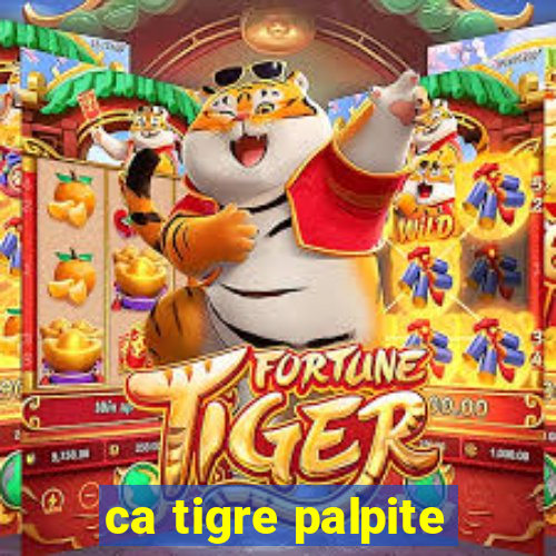 ca tigre palpite