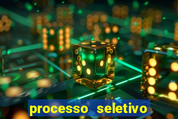 processo seletivo cerejeiras 2024