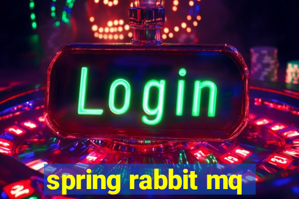 spring rabbit mq