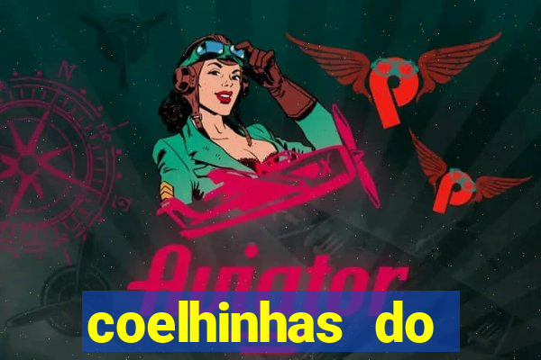 coelhinhas do brasil recife