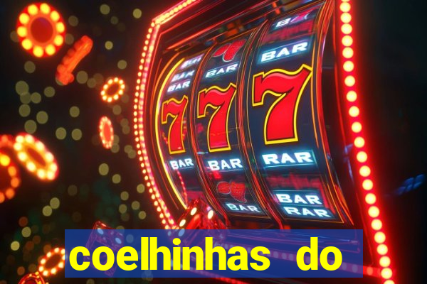 coelhinhas do brasil recife