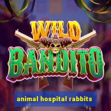 animal hospital rabbits