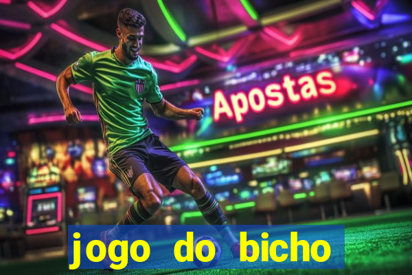 jogo do bicho crash bingo