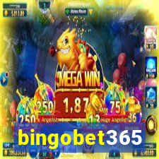 bingobet365