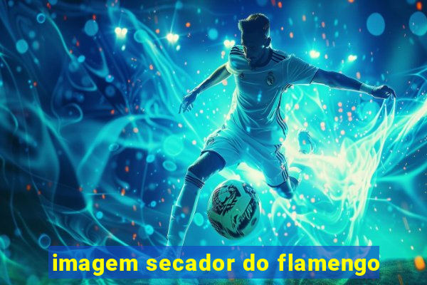 imagem secador do flamengo