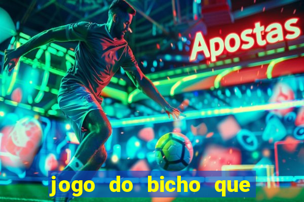 jogo do bicho que paga no pix