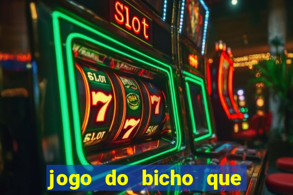 jogo do bicho que paga no pix