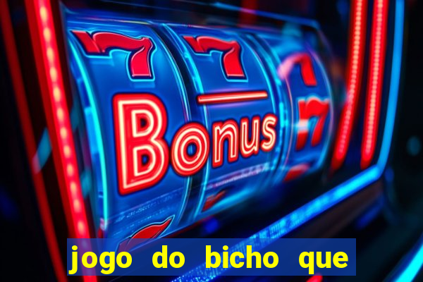 jogo do bicho que paga no pix