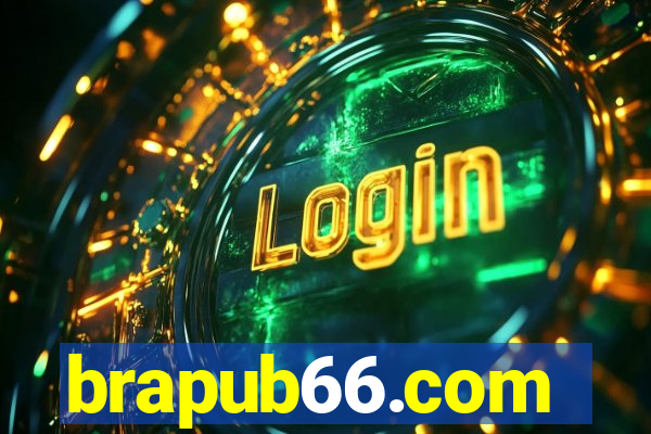 brapub66.com