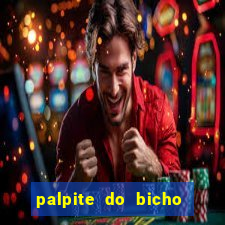 palpite do bicho deu no poste