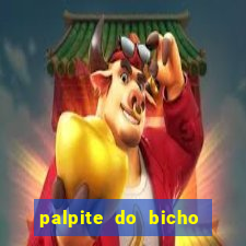 palpite do bicho deu no poste