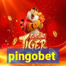 pingobet