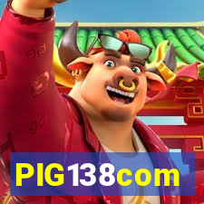 PIG138com