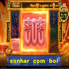 sonhar com boi branco jogo do bicho