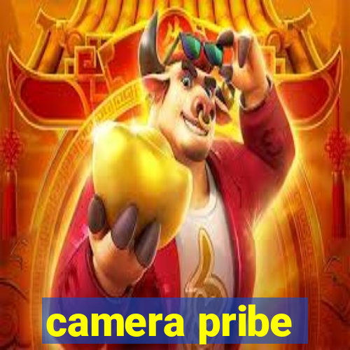 camera pribe