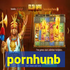 pornhunb