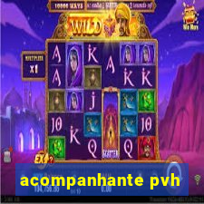 acompanhante pvh