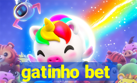 gatinho bet