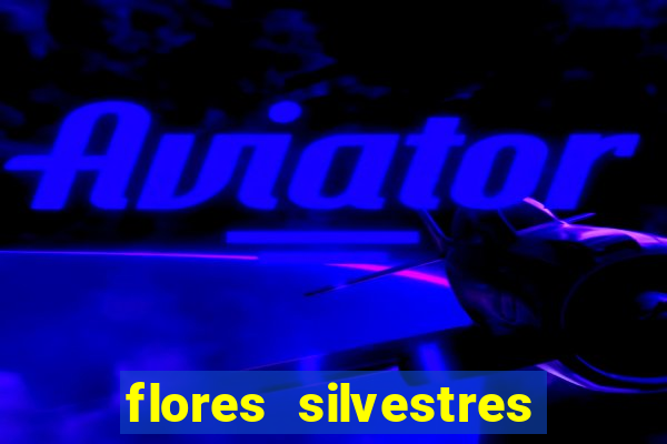 flores silvestres desbravadores desbravadores 25 flores silvestres e seus nomes