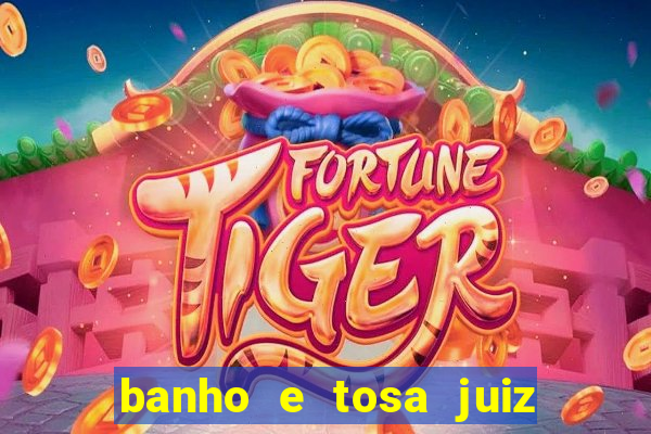 banho e tosa juiz de fora