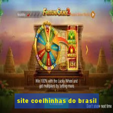 site coelhinhas do brasil