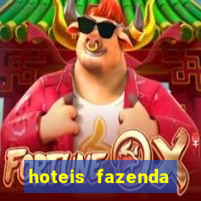 hoteis fazenda porto velho