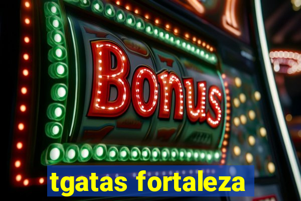 tgatas fortaleza