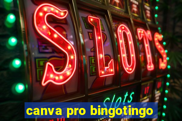 canva pro bingotingo