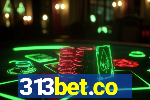 313bet.co