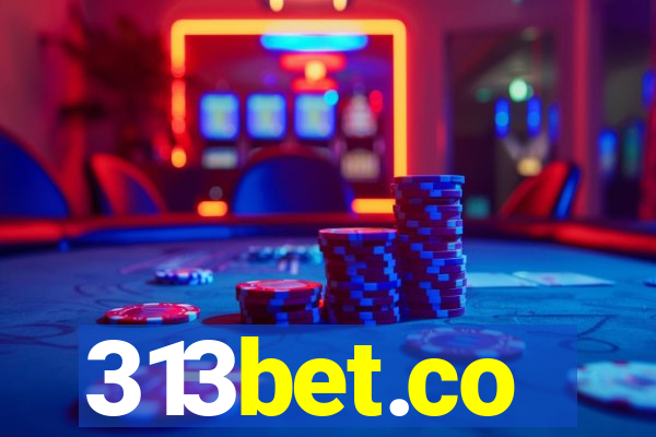 313bet.co