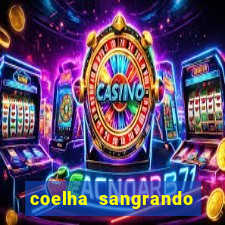 coelha sangrando pela parte intima